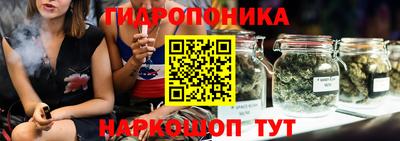 ПСИЛОЦИБИНОВЫЕ ГРИБЫ Нальчик