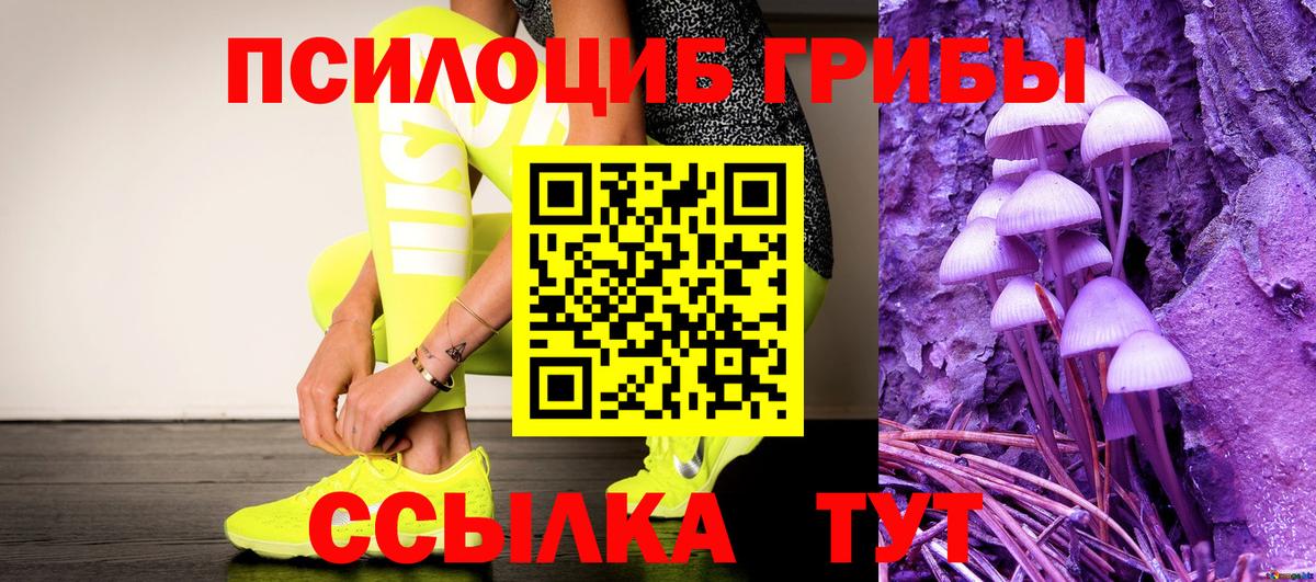 Сызрань  Псилоцибиновые грибы Psilocybe  как найти закладки  Вход с VPN 