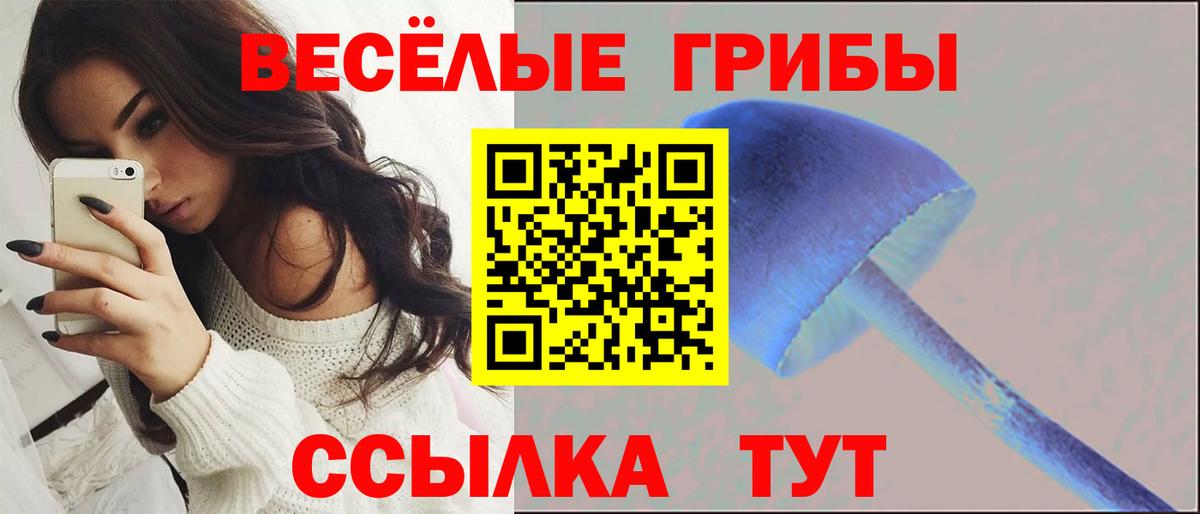 Псилоцибиновые грибы Cubensis Сызрань
